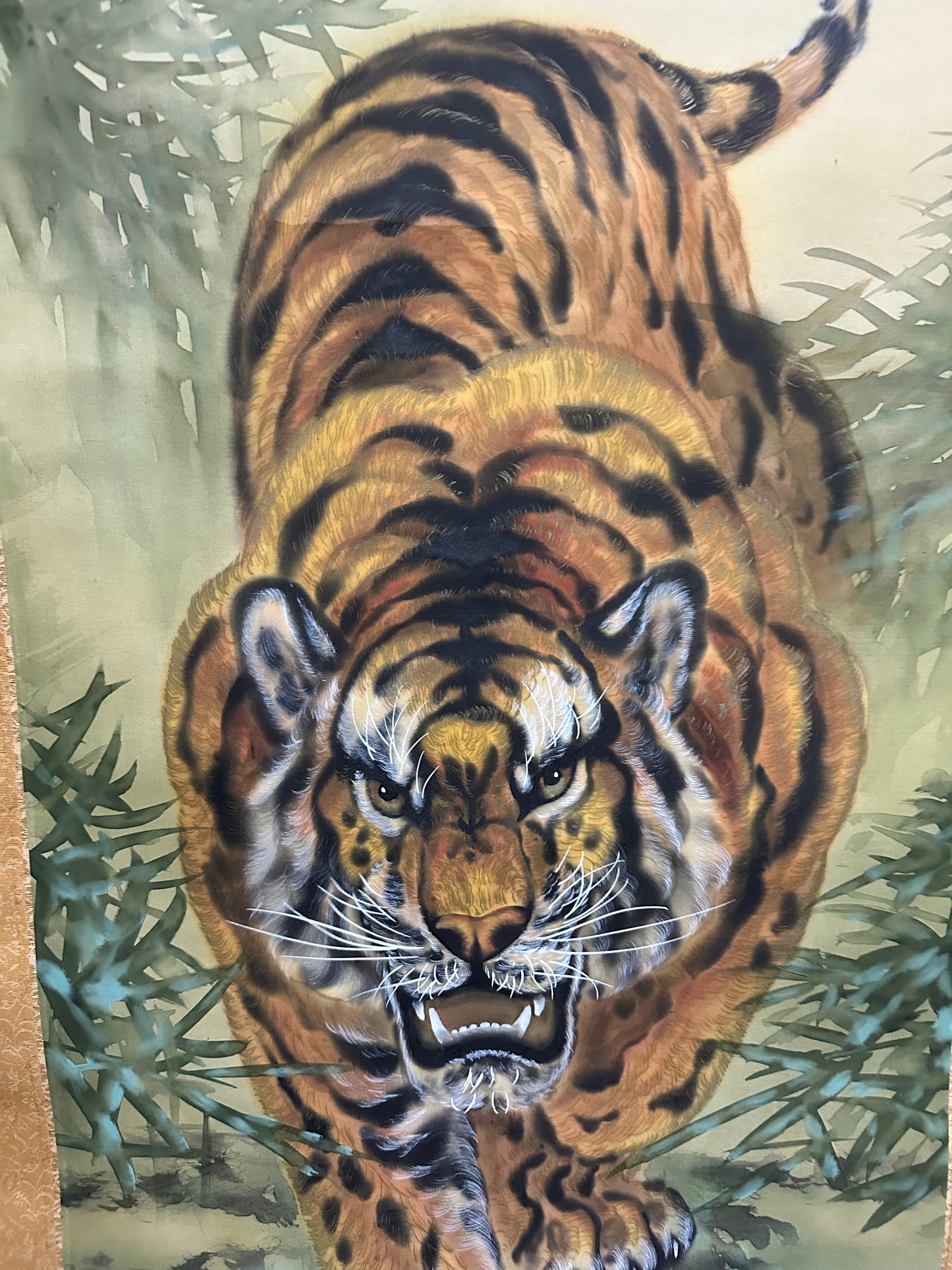 The Majesty of the Tiger. 🐅✨